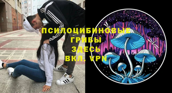 прущие грибы Россошь