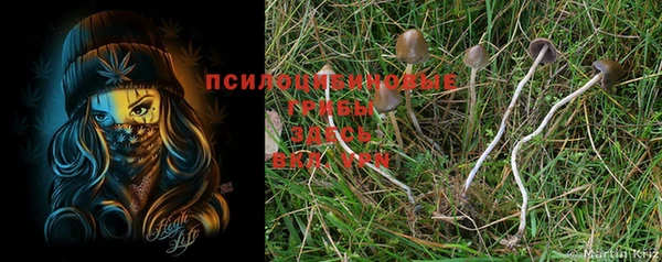 mdma Рославль