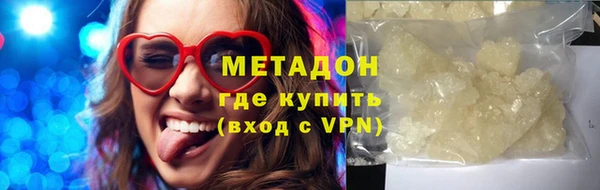 прущие грибы Россошь