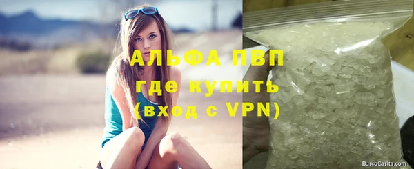 прущие грибы Россошь