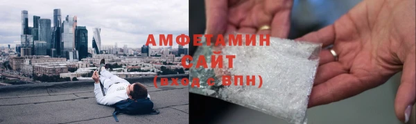 прущие грибы Россошь