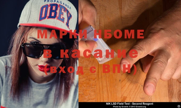 прущие грибы Россошь