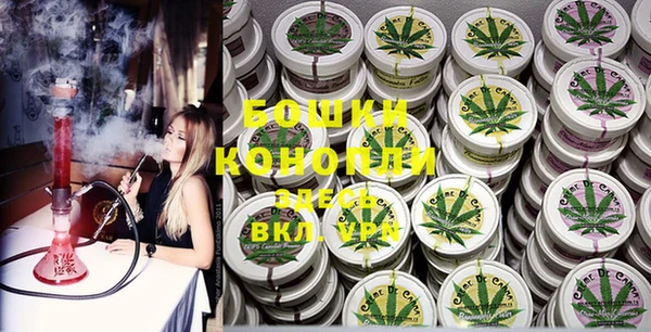 spice Новосибирск