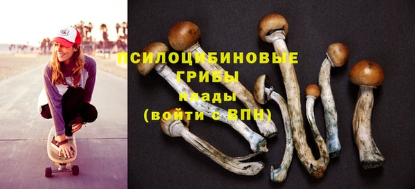 ешки Ростов