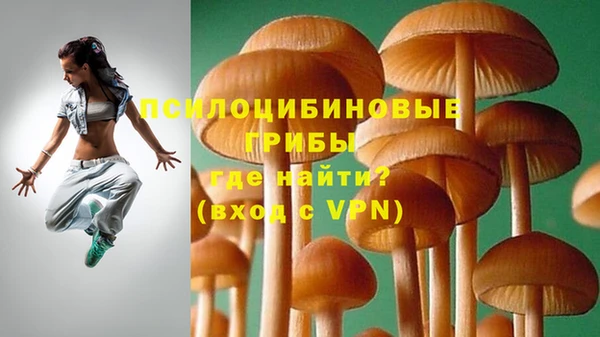 ешки Ростов