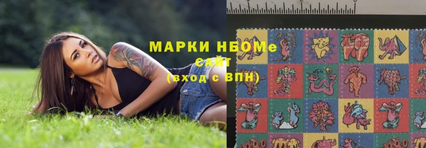 прущие грибы Россошь