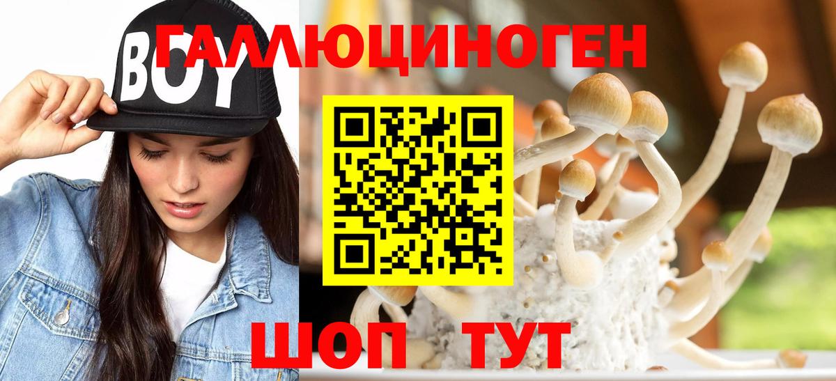 Псилоцибиновые грибы Psilocybe  Вход с VPN  Псилоцибиновые грибы Magic Shrooms  Одинцово 